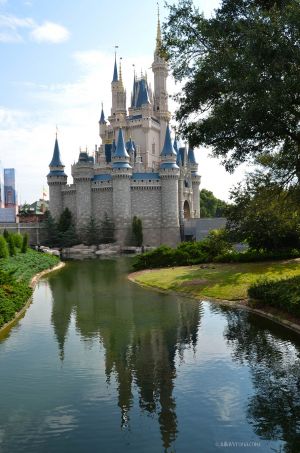 JKW_9876eweb Cinderella Castle Reflection.jpg